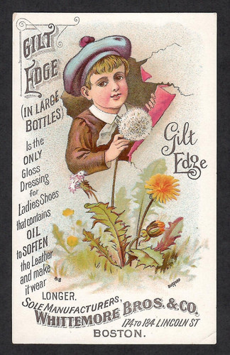 Gilt edge shoe dressing boy - edge,